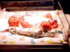 2001-10-23 Finlay and Birch_0006.jpg (51823 bytes)