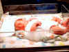 2001-10-23 Finlay and Birch_0009.jpg (49263 bytes)