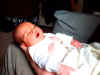 2001-10-23 Finlay and Birch_0047.jpg (48239 bytes)