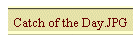 Catch of the Day.JPG